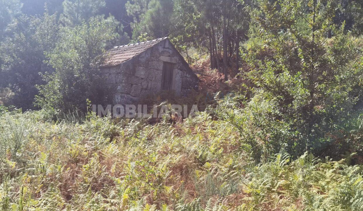 IMG-20231012-WA0038
