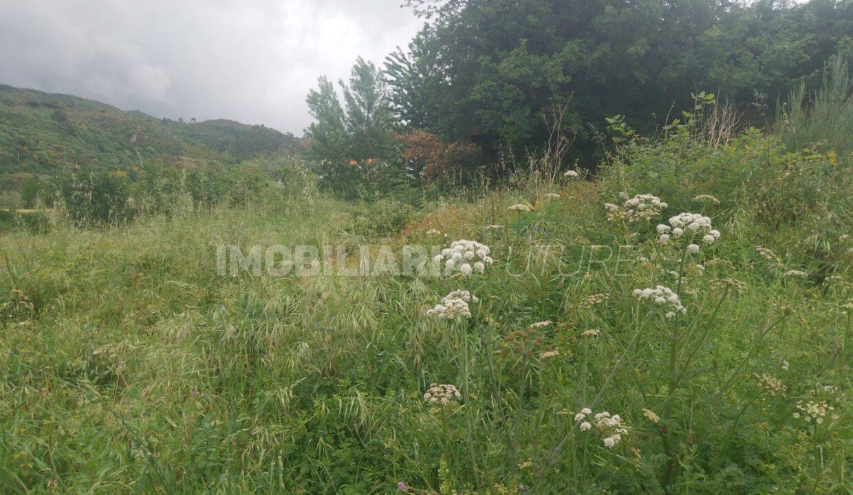 WhatsApp Image 2026-04-29 at 16.47.11